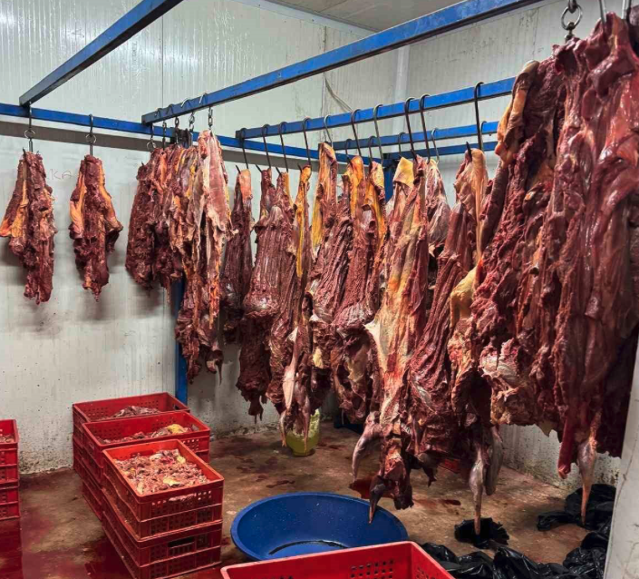 Et Taşışı Şok: At ve Eşek Eti Karışımı Satışı Yapan İşletmelere Hapis Cezası