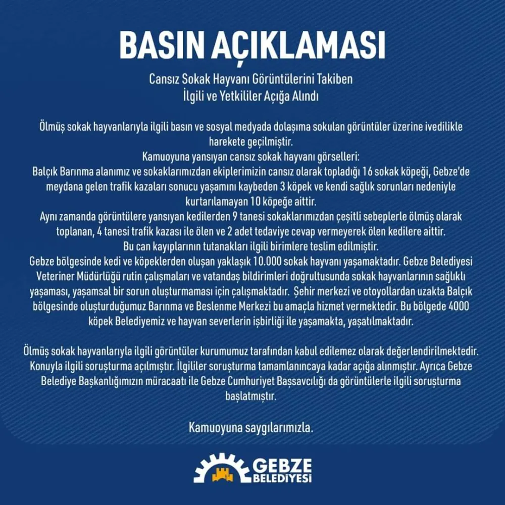 Gebze Belediyesi’nden Ölü Sokak Hayvanlarıyla İlgili Açıklama: Soruşturma Başlatıldı