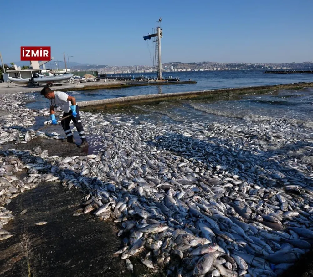 Büyükakın’dan Özel’e tokat gibi cevap